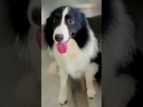 Hero is ready to take bath❤️🔥