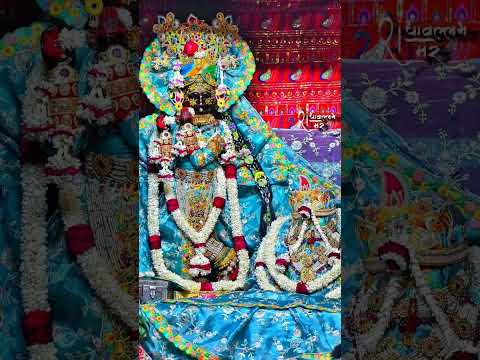 राधा बल्लभ श्री हरि वंश 🙏🙏#वृंदावनधाम #radheradhe