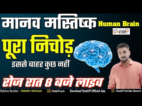 Human Brain || मानव मस्तिष्क || Science Facts || Nervous System | Biology By Ashish Sir Study91