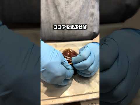 ドバイチョコ餅 #スイーツ #韓国スイーツ #ドバイチョコ