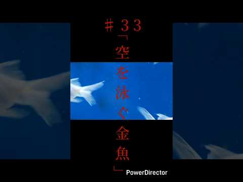 奇々怪異♯33「空を泳ぐ金魚」