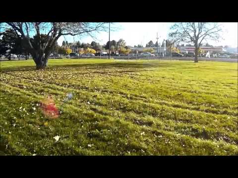 zmr250 FPV / Mobius 60 FPS test / Real YouTube 60 FPS - UCwu8ErWfd6xiz-OS4dEfCUQ