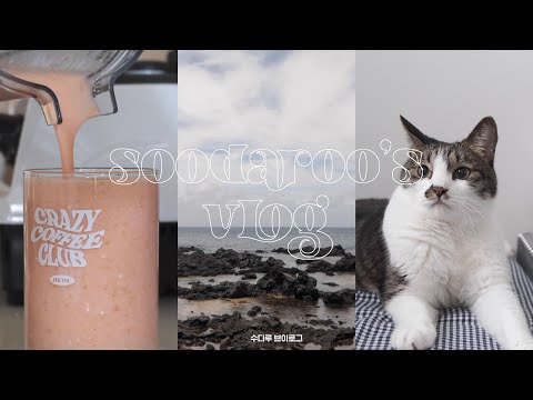 vlog | 짧은 제주 여행, 가볼만한 공간 추천, 먹고 마시는 초여름