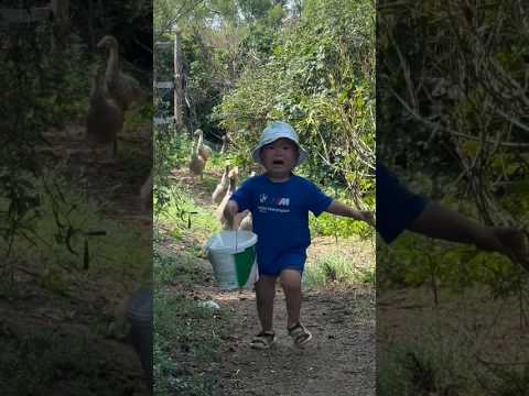 Anam kaha fas gaya 😱 #shorts #funnyshorts #funnyvideo #shortsfeed #aman #viral #islamicgmworld786