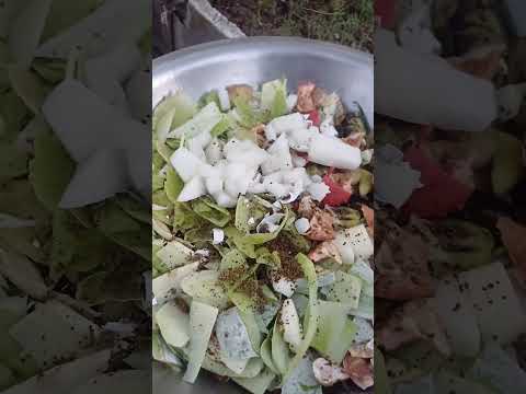 vegetable waste 🗑 || #trending #shorts #fyp #plants #vegetables #yt #fyp #shorts