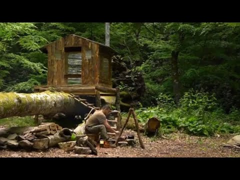 Build a cabin in the forest
