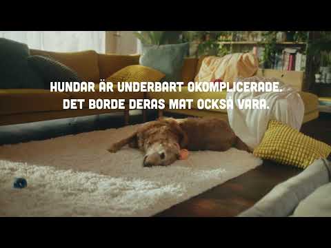 SMAAK - inget nonsens
