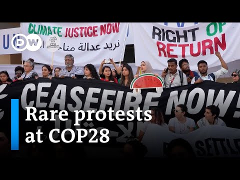 Freedom of speech: How COP28 offers some people a rare luxury in Dubai | DW News