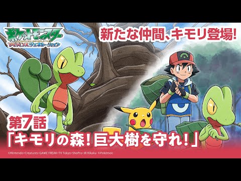 【公式】アニメ「ポケットモンスター アドバンスジェネレーション」第7話「キモリの森！巨大樹を守れ！！」（アニポケセレクション）