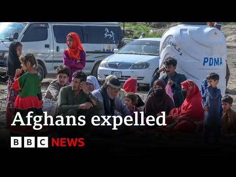 Pakistan expels tens of thousands of Afghans | BBC News