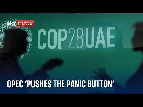 COP28: Activists accuse oil industry of 'panicking'