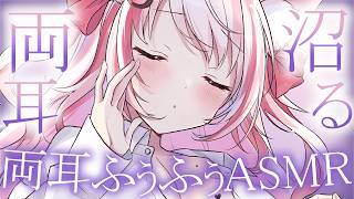【 #ASMR 】沼っちゃう♡ 両耳ふぅふぅタッピングはいかが?  吐息 / タッピング / マッサージ 【 桜神くおん / Vtuber】