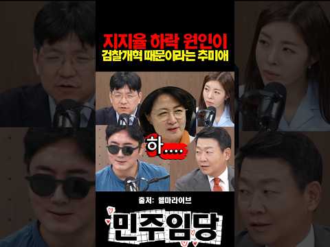 지지율 하락 원인이 검찰개혁 때문이라는 <strong>추미애</strong>