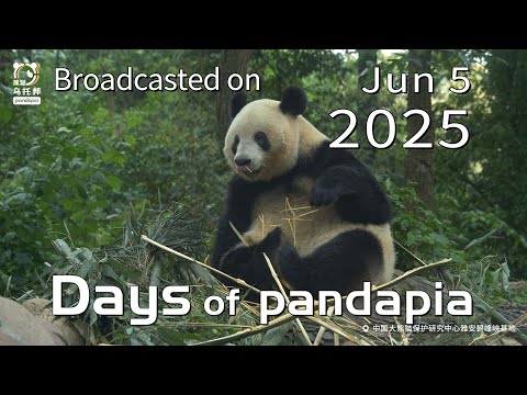 20250605 Broadcast Top Highlights 04