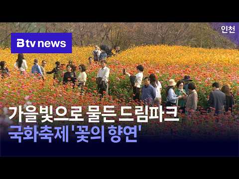 가을빛으로 물든 드림파크…국화축제 '꽃의 향연' [<strong>인천</strong>]