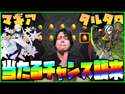 【モンスト】超激熱！マギアとタルタロスが当たるチャンス襲来！【ぎこちゃん】