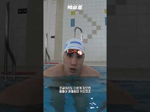 유선형이랑 나불