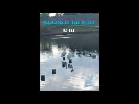 Pelicans In The Pond - BJ DJ