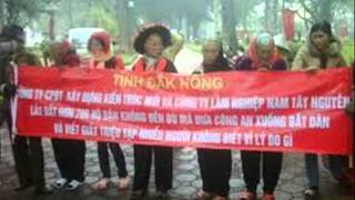 Hình thu nhỏ