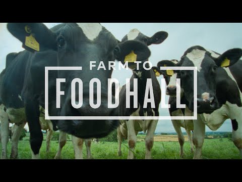 marksandspencer.com & Marks and Spencer Discount Code video: 100% RSPCA Assured Fresh Milk | Farm to Foodhall | M&S FOOD
