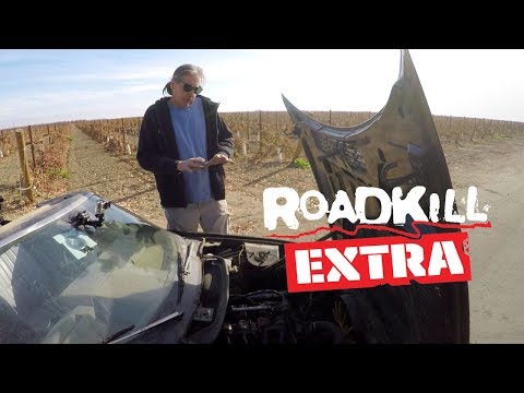 Dulcich Joyride: His Triumph TR7 - Roadkill Extra