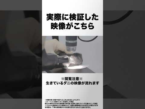 ダニは掃除機で吸える?#ダニ #雑学 #トリビア