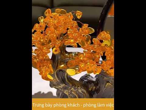 Phong thủy tài lộc