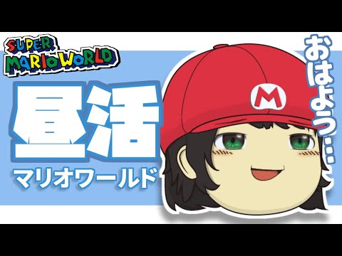 スーパーマリオワールド全ゴール最速を録画する男 part9