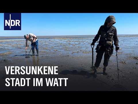 Auf Spurensuche im Watt: Versunkene Stadt Rungholt  | Die Nordreportage | NDR Doku