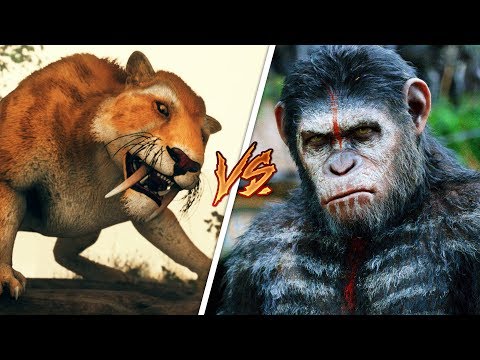 APE vs SABER TOOTH TIGER!! (Ancestors: The Humankind Odyssey) - UC2wKfjlioOCLP4xQMOWNcgg