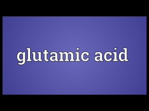 Glutamic acid Meaning