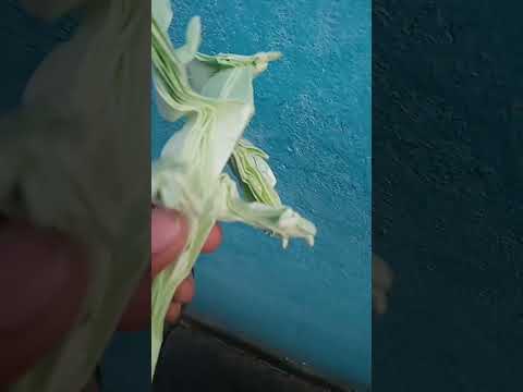 origami phoenix #entertainment #shorts #viralvideo #viralshorts #origami #origamiphoenix #phonk