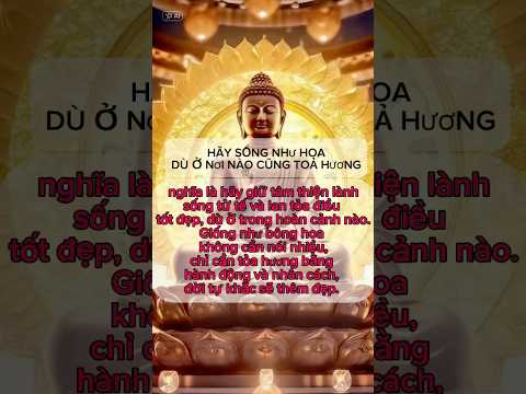 OM HA HA HA WIN SAM MO TI SO HA - Nam Mô A Di Đà Phật #phatphap #loiphatday #phatphapnhiemmau