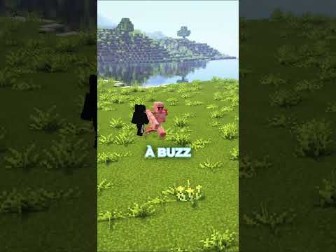 ⬆️ Rejoins le Discord en bio - Ton serveur minecraft préféré a fermé ? C'est normal