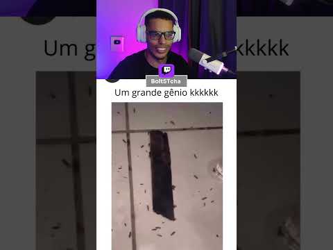 Melhor armadilha que já vi #shorts