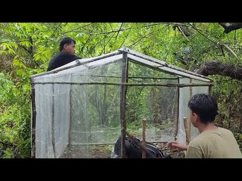 Heavy rain camping, hit by heavy rain multiple time while making a plastic shelter in the forest 