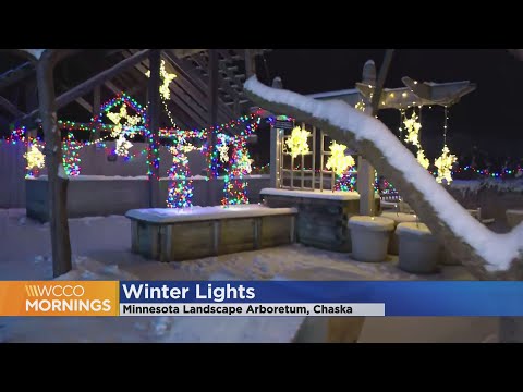 Minnesota Landscape Arboretum decked out for Winter Lights