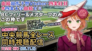 【競馬同時視聴配信】G1 天皇賞(秋) BCフィリー&メアターフ 2025（ウマ娘シンデレラグレイ第17話同時視聴も） 中央競馬ライブ  四