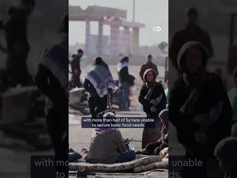 What will it cost to rebuild Syria? | DW News