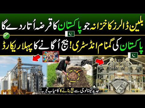 Pakistan Breaks Indian Record | Seed Production in Pakistan | Made In Pakistan