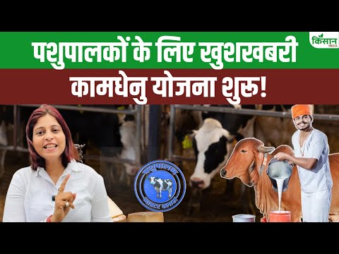MP में डेयरी शुरू करने वालों के लिए सरकार की कमाल की योजना,पाएं 42 लाख तक की मदद!। Kamdhenu Yojana