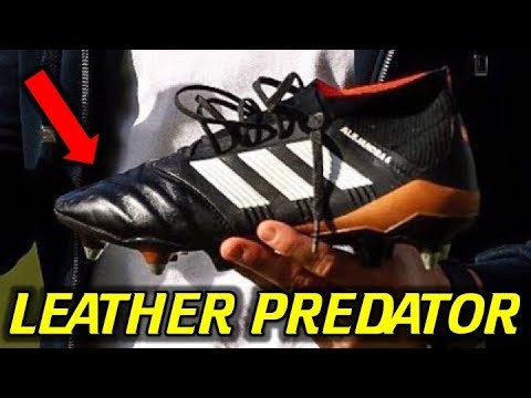 KANGAROO LEATHER PREDATOR 18.1 - Will They Ever Release? - UCUU3lMXc6iDrQw4eZen8COQ