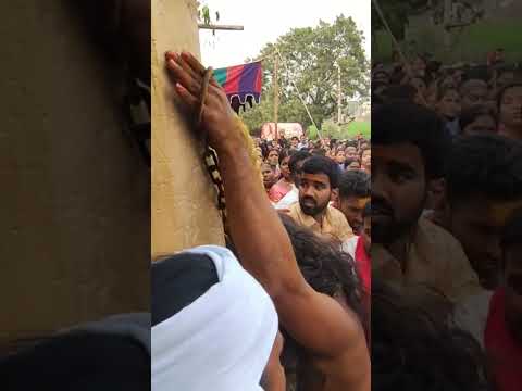 #INDRAKARAN #MALLANA Jathara 2023 #golusutemputa