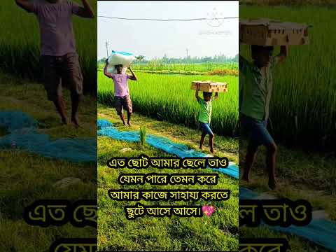 🛖মুরগি বাচ্চা আনলাম 🌿#shorts#shortsfeed #shortvideo #farming#chicken #birds #pets#poultry