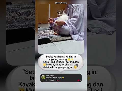 💕 "SUBHANALLAH Kucingnya Ikut Dzikir😊🕌”