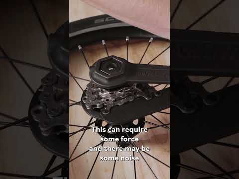 How to remove the cassette on the Advance Brompton four speed gear system PT1