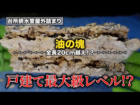 出てくる出てくる！油たち！！屋外で詰まるとこうなるぞ！！！【花のお掃除 #319】