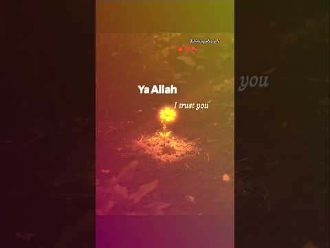 ya Allah 💫I trust you #tawakkul #islamicquotes_p4y #lines#explorislam