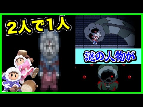 【閲覧注意】アイスクライマーが文字通り2人で1人になっちゃいました...【splatter】【ホラー】【mario】【マリオ】【Too Late.exe】