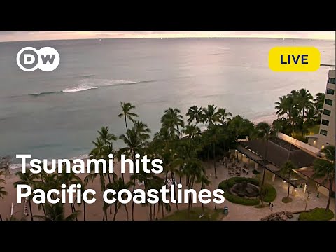 Japan tsunami warning live view | DW News